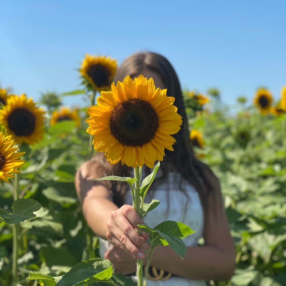 Meet your Posher, Liliya